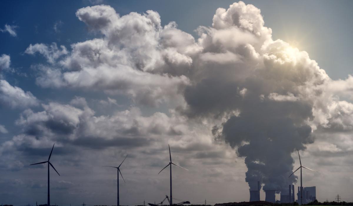 McKinsey: los mercados de Carbono Voluntarios son fundamentales en la lucha contra el cambio climático